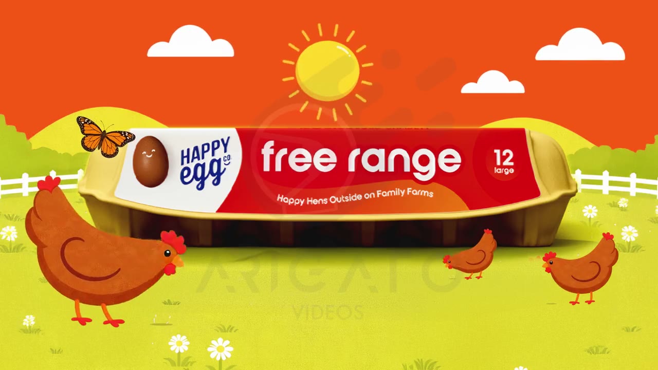 Free Range for Happy Egg Company (Explainer videos)
